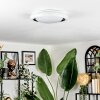 Kaas ceiling light LED black, white, 1-light source