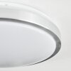 Sapioris ceiling light LED matt nickel, white, 1-light source