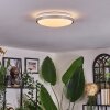 Sapioris ceiling light LED matt nickel, white, 1-light source