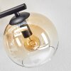 Koyoto ceiling light, globe light Amber, clear, Smoke-coloured, 3-light sources