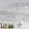 Gjedso ceiling light, ceiling spotlight LED chrome, white, 4-light sources