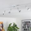 Gjedso ceiling light, ceiling spotlight LED chrome, white, 4-light sources