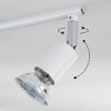 Gjedso ceiling light, ceiling spotlight LED chrome, white, 4-light sources