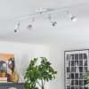 Gjedso ceiling light, ceiling spotlight LED chrome, white, 4-light sources