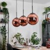 Gastor hanging light, globe light, pendant light coppery, 3-light sources