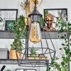 Kigali hanging light, pendant light black, 3-light sources