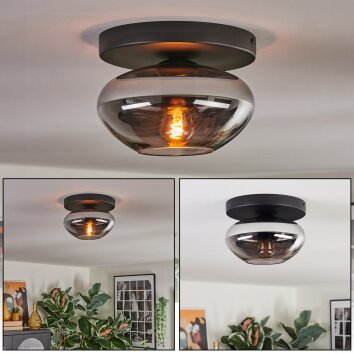 Mertola ceiling light, globe light Smoke-coloured, 1-light source