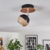 Haldor ceiling light, ceiling spotlight brown, chrome, black, 1-light source