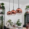 Gastor hanging light, globe light, pendant light clear, coppery, 3-light sources