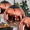 Gastor hanging light, globe light, pendant light clear, coppery, 3-light sources