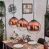 Gastor hanging light, globe light, pendant light clear, coppery, 3-light sources