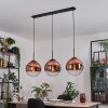 Gastor hanging light, globe light, pendant light clear, coppery, 3-light sources