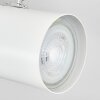 Gesteira ceiling light, ceiling spotlight white, 2-light sources