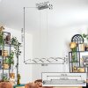 Henrichemont hanging light, pendant light LED matt nickel, 1-light source