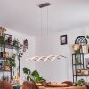 Henrichemont hanging light, pendant light LED matt nickel, 1-light source