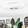 Clora ceiling light LED white, 1-light source, Remote control