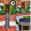 Sessa pedestal light, path light anthracite, 1-light source, Motion sensor