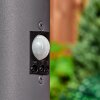 Caserta path light anthracite, 1-light source, Motion sensor