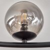 Chehalis ceiling light, globe light Smoke-coloured, 12-light sources