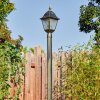 Naofe lamp post, path light gold, black, 1-light source