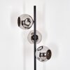 Ripoll floor lamp chrome, Smoke-coloured, 3-light sources