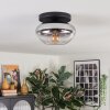 Mertola ceiling light, globe light clear, Smoke-coloured, 1-light source