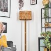 Cando floor lamp brown, Ecru, black, 1-light source