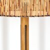 Cando floor lamp brown, Ecru, black, 1-light source