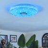 Cham ceiling light LED white, 1-light source, Remote control, Colour changer