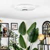 Cham ceiling light LED white, 1-light source, Remote control, Colour changer