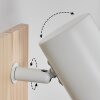 Gesteira wall light, wall spotlight Ecru, white, 1-light source