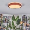 Sofo ceiling light, Panel LED white, 1-light source