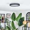 Sofo ceiling light, Panel LED white, 1-light source