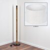 Bassagoda floor lamp brown, Ecru, black, 1-light source