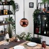 Gastor hanging light, globe light, pendant light coppery, 1-light source