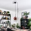 Gastor hanging light, globe light, pendant light coppery, 1-light source