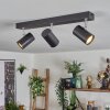 Gesteira ceiling light, ceiling spotlight black, 3-light sources