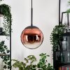 Gastor hanging light, globe light, pendant light clear, coppery, 1-light source