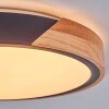 Cadaixo ceiling light, Panel LED Ecru, black, white, 1-light source