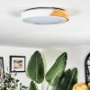 Cadaixo ceiling light, Panel LED Ecru, white, 1-light source