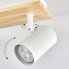 Gesteira ceiling light, ceiling spotlight Ecru, white, 6-light sources