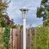 Loria lamp post, path light white, 1-light source