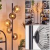 Koyoto floor lamp 33 cm clear, Smoke-coloured, 5-light sources