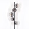 Koyoto floor lamp 33 cm clear, Smoke-coloured, 5-light sources