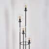 Gastor floor lamp 30 cm clear, 4-light sources