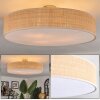 Foggia ceiling light matt nickel, 3-light sources