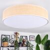 Foggia ceiling light matt nickel, 3-light sources