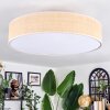 Foggia ceiling light matt nickel, 3-light sources