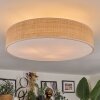 Foggia ceiling light matt nickel, 3-light sources