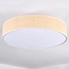 Foggia ceiling light matt nickel, 3-light sources